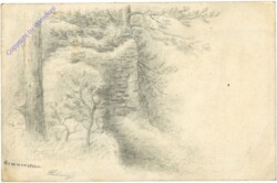 ak206478 Waldlandschaft