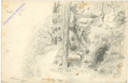 ak206479 Waldlandschaft