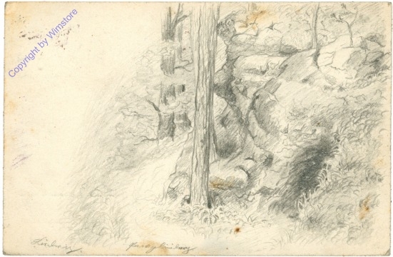 Waldlandschaft