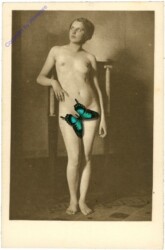 Nackte Dame