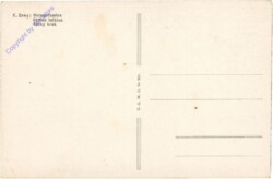 ak206575a Zewy, K.: Heimgefunden