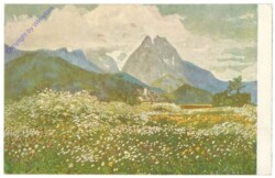 ak206609 Reiser, Carl: Frühsommerpracht
