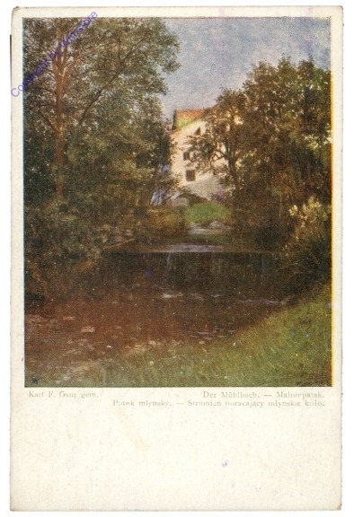 ak206636 Gsur, Karl F.: Der Mühlbach
