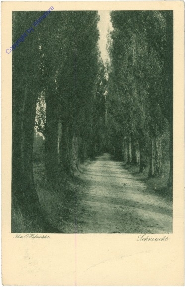 Hofmeister, Paul: Sehnsucht