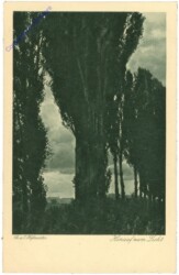 Hofmeister, Th.: Hinauf zum Licht