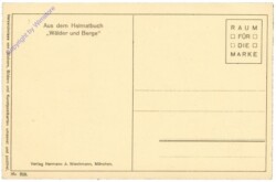 ak206644a Rösching-Starnberg, R.: Fallendes Laub