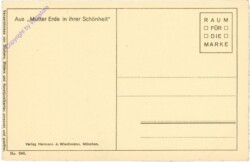 ak206648a Hofmeister, Th.: Schwerer Sommertag