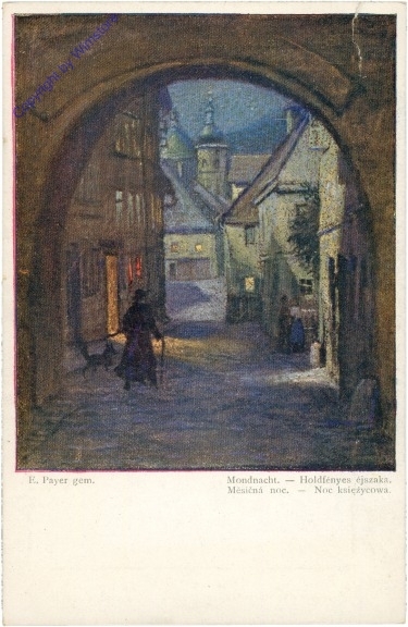 ak206653 Payer, E.: Mondnacht