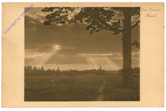 Galland, C.: Ein Sonnenstrahl