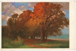 ak206710 Rüdisühli, Hermann: Herbstsonne