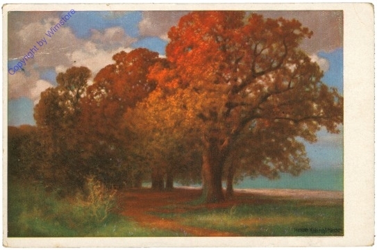 ak206710 Rüdisühli, Hermann: Herbstsonne