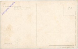ak206741a Schweninger, C.: Der Traum eines Lebens