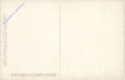ak206753a Tischbein, J.H.W.: Goethe