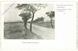 Wisinger, Florian: Letzte Sonnenstrahlen
