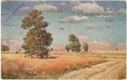 ak206940 Wrzeszcz, E.: Die Eichen