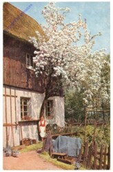 Mädchen unter blühendem Hausbaum