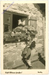 Lasst Blumen sprechen