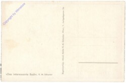 ak207558a Schuster, K.M.: Das interessante Buch
