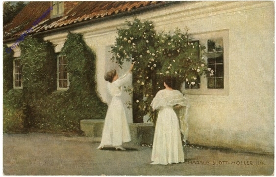 ak207587 Slott-Moller, H.: Weiße Rosen
