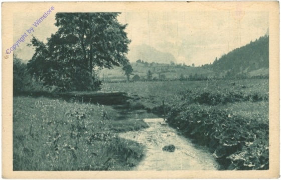 Der Wiesenbach