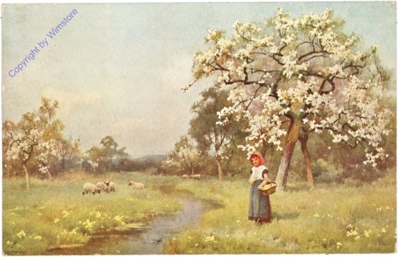 Die blühende Obstwiese