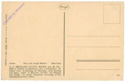 Meyer, A.E.Nikolaus: Alte und junge Katzen