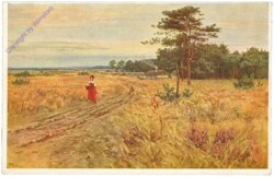 Spaziergang