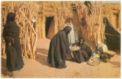 ak208049 Tamanrasset: Frauen des Amenokal