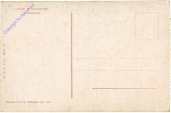 ak208113a Von Bukowski, Stefan: Liebesboten