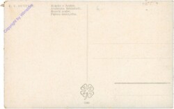 ak208114a Muttich, C.V.: Arabische Schönheit
