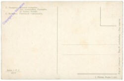 ak208143a Vazquez, C.: Der verwundete Toreador