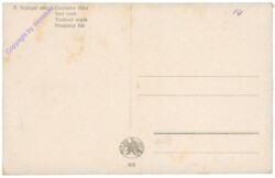 ak208234a Schlegel, F.: Ersehnter Brief