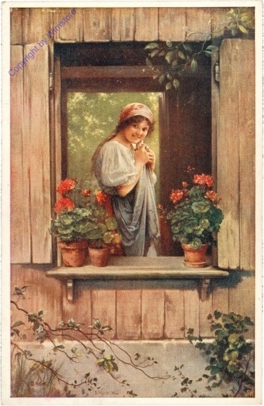 ak208359 Hock, D.: Dorfkokette