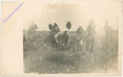 ak208418 Feldarbeit