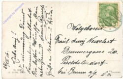 Reife Kirschen