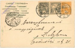 Mutter und Kind sammeln Blumen