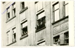 Fenstergucker