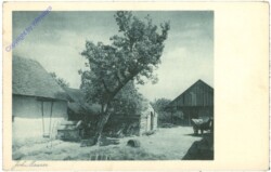 Hinterm Haus