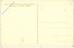ak208610a Rumpler: Der kleine Patient