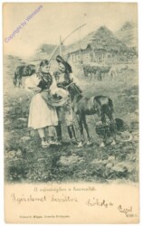 ak208689 Pärchen in Tracht mit Fohlen