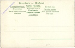 ak208701a Norwegen, Nationaltracht