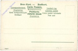 ak208703a Norwegen, Brud til hest