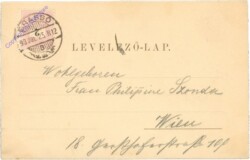 Sächsische Bauernfamilie aus dem Burgenlande
