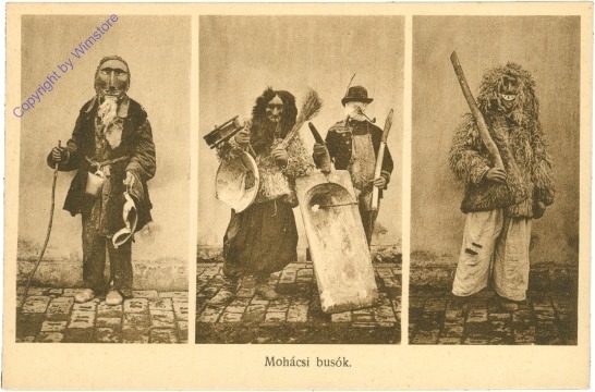ak208755 Mohacsi busok