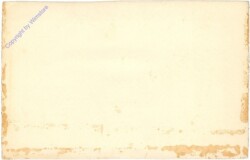 ak208763a Ragusanerin