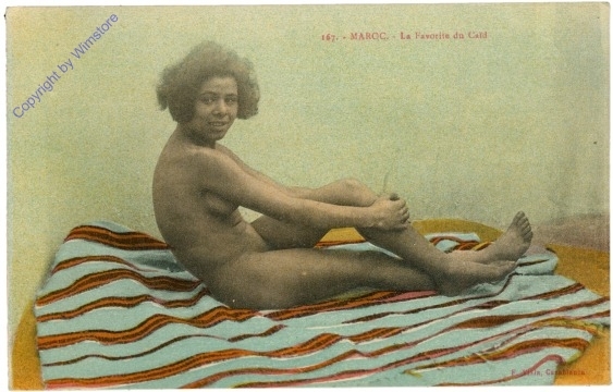 Marocc. - La Favorite du Cald