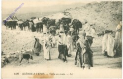 Scenes & Types - Tribu en route