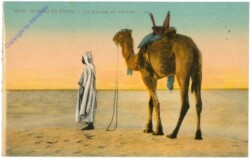 Scenes et Types - La priere au desert