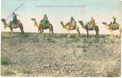 Cameliers en marche dans le desert
