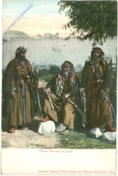 Cheiks bedouins en Judee